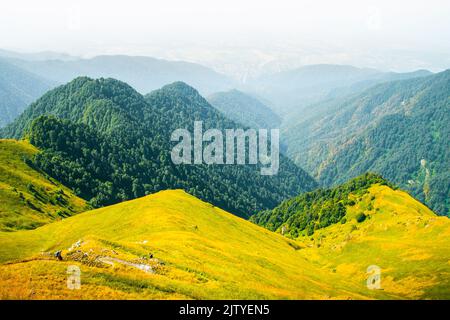 Luftbild filmische Ansicht Gruppe von Wanderern in der Ferne Wanderung auf dem Weg im Freien auf dem Gipfel im Lagodekhi Nationalpark. Aktiver Lebensstil im Freien mit Freunden le Stockfoto