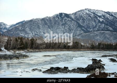 Eine Lichtung auf dem gefrorenen Bett eines schönen Flusses, der durch ein schneebedecktes Tal fließt, umgeben von hohen Bergen. Katun-Fluss, Altai, Sibirien, Rus Stockfoto