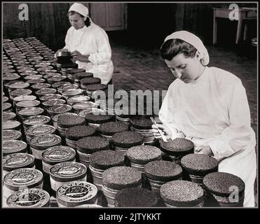 KAVIAR Jahrgang Beluga Kaviar Produktion Konservenproduktion und Qualitätskontrolllinie für den Export in Kirov Fischerei Aserbaidschan UdSSR 1940s Stockfoto