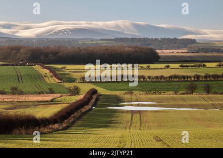 Blick über Ackerland bei Seahouses in Richtung Cheviots, Northumberland, England, Großbritannien Stockfoto