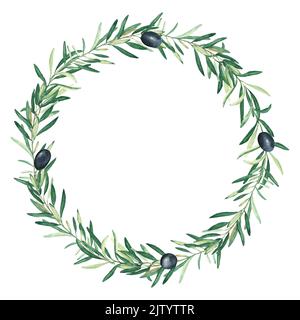 Olivenbaumkranz in Aquarell mit schwarzen Oliven. Isoliert auf weißem Hintergrund. Handgezeichnete botanische Illustration. Kann für Karten, Logos und Lebensmittel verwendet werden Stockfoto