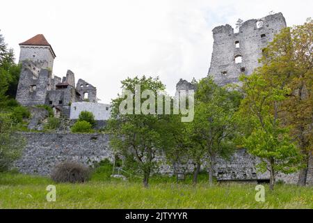 Burgruine Kamen, Radovljica, Slowenien Stockfoto