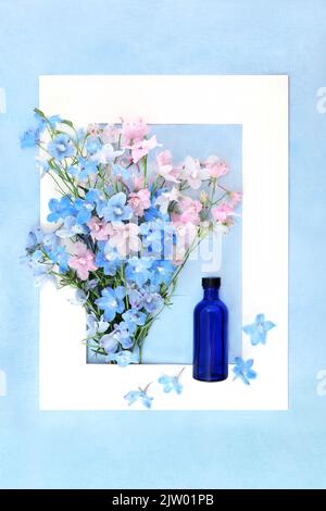 Delphinium Wildflower naturheilkundliche Kräutermedizin mit Tinktur blaue Glasflasche. Sommer Flora Natur Zusammensetzung in der Kräutermedizin als Sedat verwendet Stockfoto