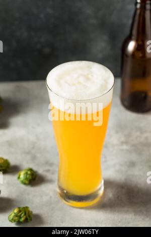 Kühles erfrischendes IPA Craft Beer in einem hohen Glas Stockfoto