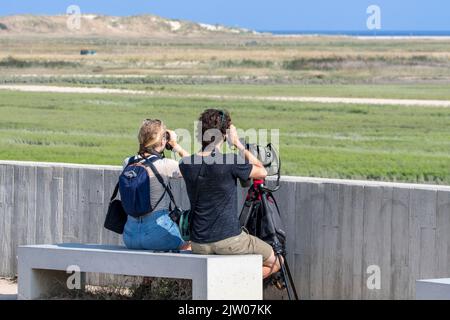 Zwei Vogelbeobachter/Vogelbeobachter, die im Spätsommer vom International Dike, Knokke-Heist, Belgien, mit einem Fernglas nach Zugvögeln in der Zwin-Ebene suchen Stockfoto