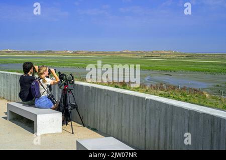 Zwei Vogelbeobachter/Vogelbeobachter, die im Spätsommer vom International Dike, Knokke-Heist, Belgien, mit einem Fernglas nach Zugvögeln in der Zwin-Ebene suchen Stockfoto