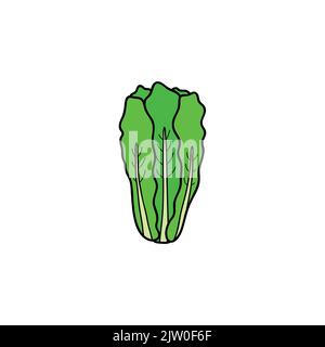 Doodle farbigen Salat grünes Blatt isoliert auf weißem Hintergrund. Stock Vektor