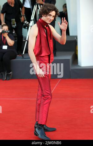 Italien, Lido di Venezia, 2. September 2022 2022 : Timothee Chalamet nimmt am 1. September 79. in Venedig, Italien, am roten Teppich 'Bones and All' Teil. Foto © Ottavia Da Re/Sintesi/Alamy Live News Stockfoto