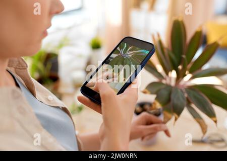 Frau mit Smartphone fotografiert Topfblumen Stockfoto
