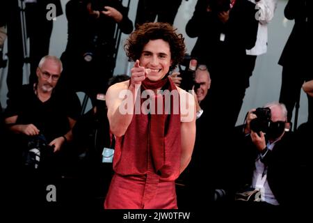 Timothee Chalamet nimmt am 02. September 79. 2022 in Venedig, Italien, am roten Teppich „Bones and All“ Teil. Stockfoto