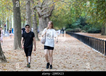 Die Blätter von den Bäumen entlang der Mall fallen nach einem Regenguss in London unmittelbar nach einer Hitzewelle ab. Bild aufgenommen am 16.. August 2022. © Be Stockfoto