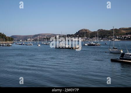 Boote vor Anker liegen an einem ruhigen Sommermorgen im Hafen von Conwy mit den Deganwy-Hügeln und der Great Orme im Hintergrund vor einem klaren blauen Himmel Stockfoto