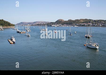 Conwy Quayside und Hafen in Nordwales mit Booten vor Anker an einem ruhigen frühen Sommermorgen mit Deganwy und der Great Orme im Hintergrund Stockfoto