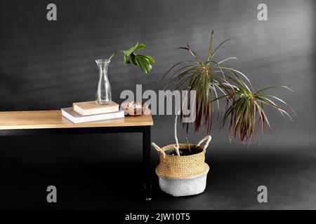 monstera Blatt in Vase, Bücher und Muscheln und Handfläche Stockfoto