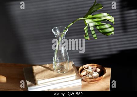 monstera Blatt in Vase, Bücher und Muscheln auf Bank Stockfoto