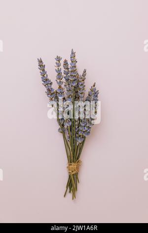 Kleines Bouquet von Lavendelblüten auf rosa Hintergrund. Inneneinrichtung Stockfoto