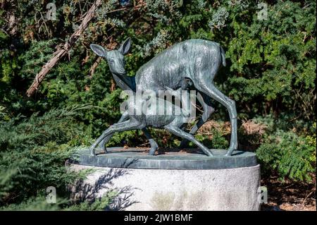 Öffentliche Kunst in Norrkoping, Schweden: Reh mit Rehkitz eine Bronze von Arvid Knöppel aus dem Jahr 1962 in Skarphagen. Stockfoto