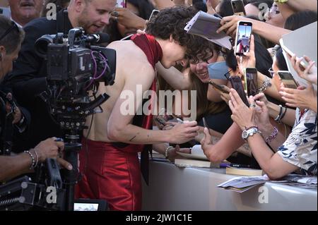 Venedig, Italien. 02. September 2022. Timothee Chalamet nimmt am 02. September 79. 2022 in Venedig, Italien, am roten Teppich „Bones and All“ Teil. Foto von Rocco Spaziani/UPI Credit: UPI/Alamy Live News Stockfoto