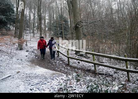 WANDERER IM SCHNEE IM QUEEN ELIZABETH COUNTRY PARK IN DER NÄHE VON PETERSFIELD, HAMPSHIRE. BILDER VON MIKE WALKER, MIKE WALKER Stockfoto