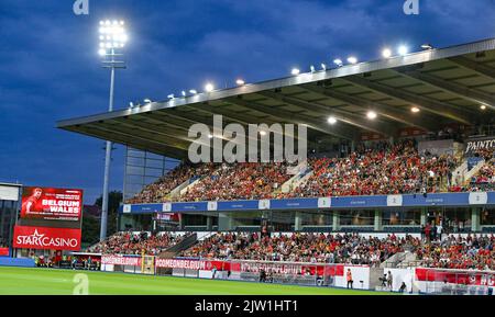 Heverlee, Belgien. 02. September 2022. Belgische Fans und Unterstützer, die während des Spiels zwischen der belgischen Nationalmannschaft der Frauen, den Roten Flammen und Norwegen, in Heverlee, Belgien, am Freitag, 02. September 2022, im Spiel 9 (von zehn) in der Gruppe F der Qualifikationsgruppe für die Weltmeisterschaft der Frauen 2023 abgebildet wurden. BELGA FOTO DAVID CATRY Kredit: Belga Nachrichtenagentur/Alamy Live News Stockfoto