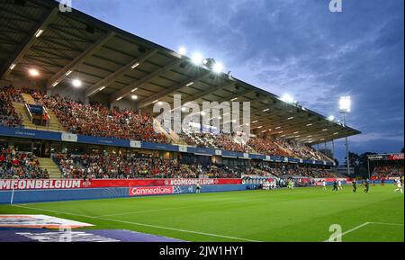 Heverlee, Belgien. 02. September 2022. Belgische Fans und Unterstützer, die während des Spiels zwischen der belgischen Nationalmannschaft der Frauen, den Roten Flammen und Norwegen, in Heverlee, Belgien, am Freitag, 02. September 2022, im Spiel 9 (von zehn) in der Gruppe F der Qualifikationsgruppe für die Weltmeisterschaft der Frauen 2023 abgebildet wurden. BELGA FOTO DAVID CATRY Kredit: Belga Nachrichtenagentur/Alamy Live News Stockfoto