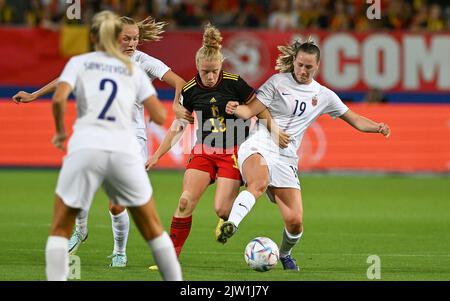 Heverlee, Belgien. 02. September 2022. Die belgische Elena Dhont und die norwegische Elisabeth Terland kämpfen während des Spiels zwischen der belgischen Nationalmannschaft der Frauen, den Roten Flammen, und Norwegen, in Heverlee, Belgien, Freitag, 02. September 2022, Spiel 9 (von zehn) In der Gruppe F der Qualifikationsgruppe Bühne für die Frauen-WM 2023. BELGA FOTO DAVID CATRY Kredit: Belga Nachrichtenagentur/Alamy Live News Stockfoto