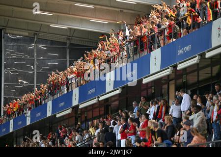 Heverlee, Belgien. 02. September 2022. Belgische Fans und Unterstützer, die während des Spiels zwischen der belgischen Nationalmannschaft der Frauen, den Roten Flammen und Norwegen, in Heverlee, Belgien, am Freitag, 02. September 2022, im Spiel 9 (von zehn) in der Gruppe F der Qualifikationsgruppe für die Weltmeisterschaft der Frauen 2023 abgebildet wurden. BELGA FOTO DAVID CATRY Kredit: Belga Nachrichtenagentur/Alamy Live News Stockfoto