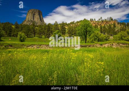 Devils Tower in Wyoming war das erste Nationaldenkmal der Vereinigten Staaten, das am 24. September 1906 von Präsident Theodore Roosevelt errichtet wurde. Stockfoto