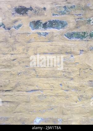 Detail einer weiß bemalten Ziegelwand Stockfoto