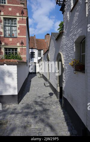 St. Elisabeth Beguinage, Kortrijk, Flandern, Belgien Stockfoto