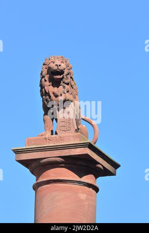 Marktbrunnen mit Stadtwappen am Marktplatz in Calw, Nagoldtal, Nordschwarzwald, Schwarzwald, Baden-Württemberg, Deutschland Stockfoto