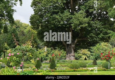 30. August 2022, Brandenburg, Gransee/OT Meseberg: Der Garten von Schloss Meseberg. Foto: Soeren Sache/dpa Stockfoto