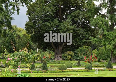 30. August 2022, Brandenburg, Gransee/OT Meseberg: Der Garten von Schloss Meseberg. Foto: Soeren Sache/dpa Stockfoto