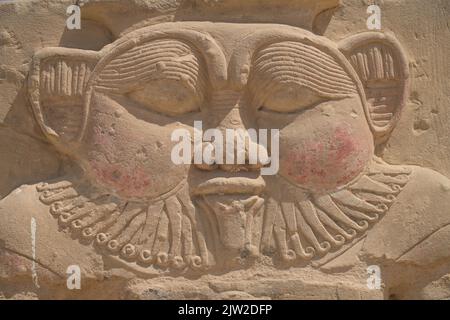 Reliefgott Bes, Tempel von Hathor, Dendera, Qina, Ägypten Stockfoto