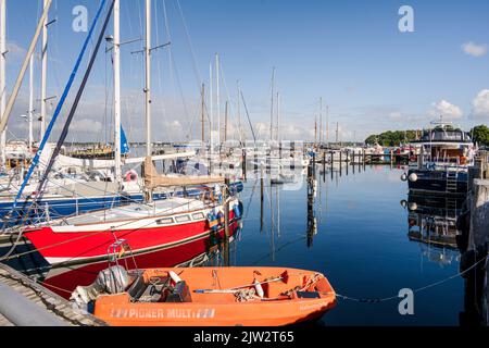 Fischerhafen an der Kieler Förde in Möltenort am frühen Morgen im Sommer Stockfoto