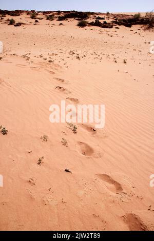 Trekkers Foot Prints in Desert, Wadi Rum, Jordanien Stockfoto