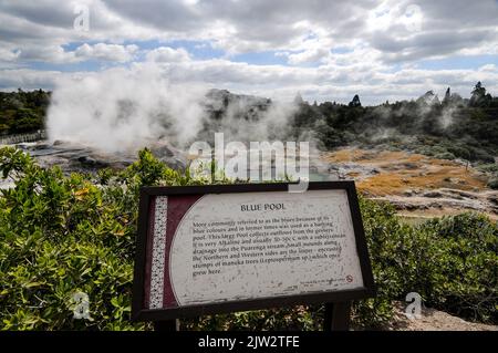 Der Blaue Pool im geothermischen Tal von Te Puia Whakarewarewa, umgeben von kochenden Schlammbecken in Rotorua in der Region Bay of Plenty der Nordinsel Stockfoto