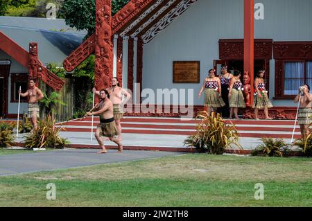 Eine Gruppe von Tamaki Maori Tänzern führen ihren traditionellen Zeremonentanz, Haka, zum Wohle der Besucher vor dem Wharenui (Maori Meeting Hou Stockfoto