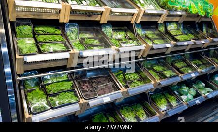 Frühlingszwiebeln auch als Salatzwiebeln, Scallions oder Grüne Zwiebeln im Marktkühlschrank bekannt. Frische Frühlingszwiebel im Supermarkt. Kühlschrank für Gemüse. Stockfoto