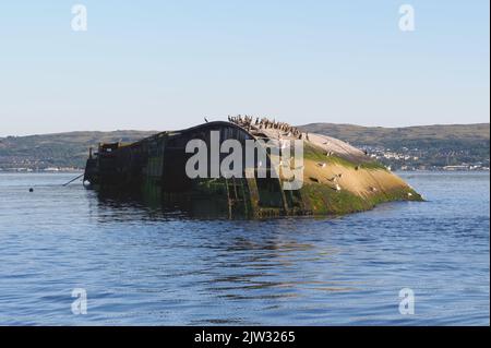 Schiffswrack-Zuckerboot auf See auf dem Fluss Clyde vom Firth of Forth Scotland aus gesehen Stockfoto