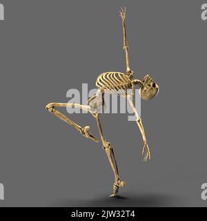 Tanzendes Skelett, Illustration. Ein menschliches Skelett in einer Ballettpose. Stockfoto