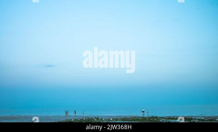 Eine Gruppe von Menschen paddelt bei Ebbe am Rand des Meeres in Worthing, in West Sussex, Großbritannien. Stockfoto