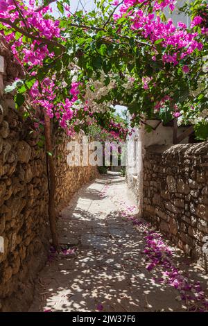 Datca, Mugla, Türkei - Juni 2022. Blick auf die enge Straße von Old Datca. Steinmauern und Bougainvillaea Blumen. Stockfoto