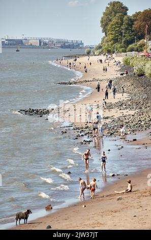 03. September 2022, Hamburg: Menschen genießen die Sonne am Elbestrand in Övelgönne. Foto: Georg Wendt/dpa Stockfoto