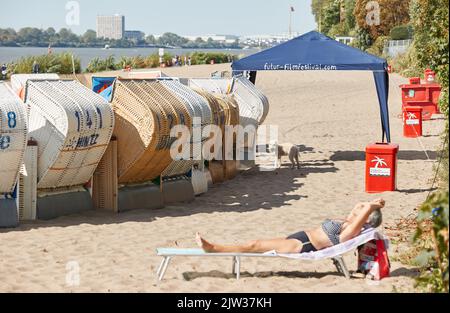 03. September 2022, Hamburg: Eine Frau und ein Hund genießen die Sonne am Elbstrand in Övelgönne. Foto: Georg Wendt/dpa Stockfoto