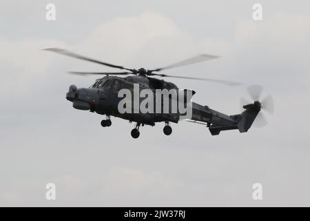 ZZ377, eine von der Royal Navy betriebene AgustaWestland Wildcat HMA2, die in RAF Fairford in Gloucestershire, England, ankommt, um an der Royal International Air Tattoo 2022 (RIAT 2022) teilzunehmen. Stockfoto