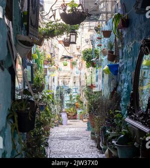 Ein Foto einer sehr schönen Straße mit Blumen im alten jerusalem Stockfoto