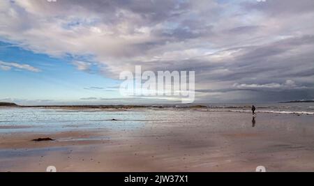 Die Flut ist vorbei. der Damm der heiligen Insel Stockfoto