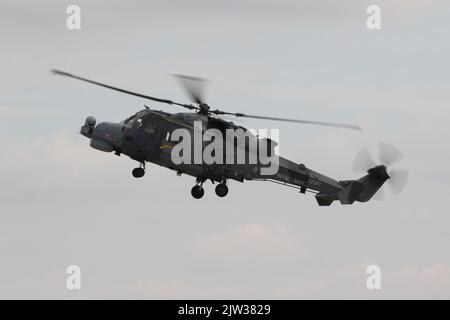 ZZ377, eine von der Royal Navy betriebene AgustaWestland Wildcat HMA2, die in RAF Fairford in Gloucestershire, England, ankommt, um an der Royal International Air Tattoo 2022 (RIAT 2022) teilzunehmen. Stockfoto