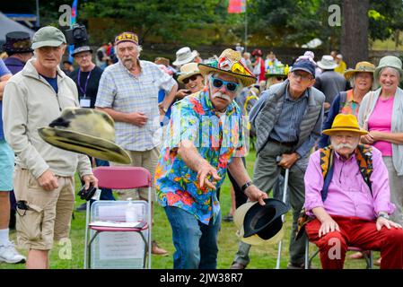 Bridport, Dorset, Großbritannien. 3.. September 2022. Hut beim Bridport hat Festival in Dorset Bildquelle: Graham Hunt/Alamy Live News Stockfoto